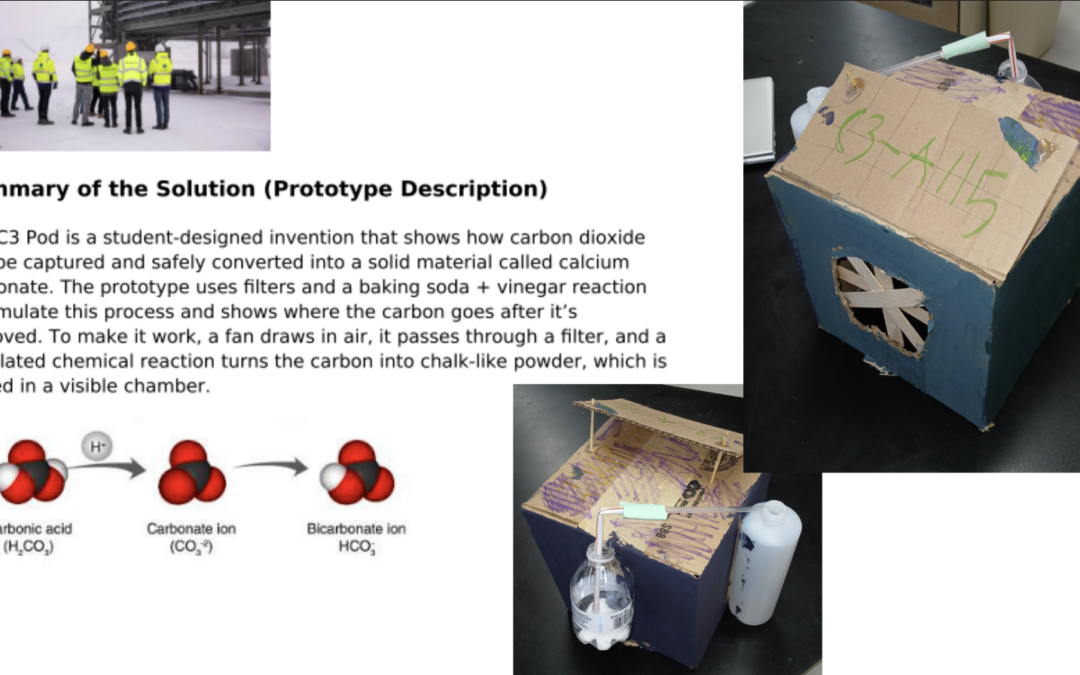 Excess Carbon Removal
